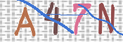 キャプチャ画像