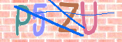 キャプチャ画像